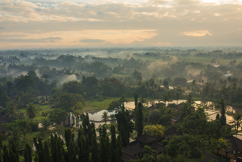 Amazing aerial view of Tanah Gajah, Ubud, Bali