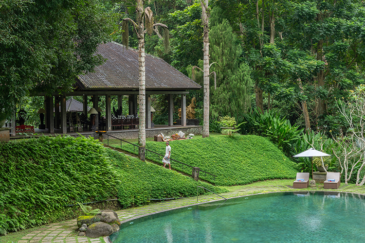 Swimming pool with jungle view at Dua Dari Ubud
